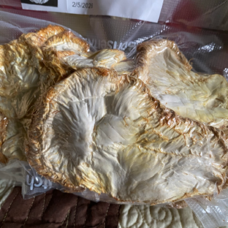 Dried Lion's Mane, 2 ounce